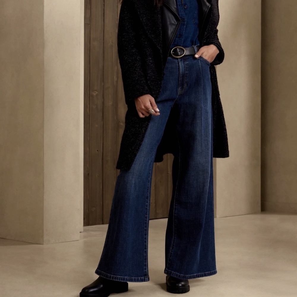 NWT Banana Republic PLEATED WIDE-LEG JEAN